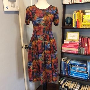 Lularoe Bright Jewel Toned Amelia Dress